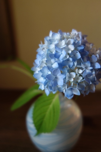 七夕に咲く庭の花_a0197730_22592877.jpg