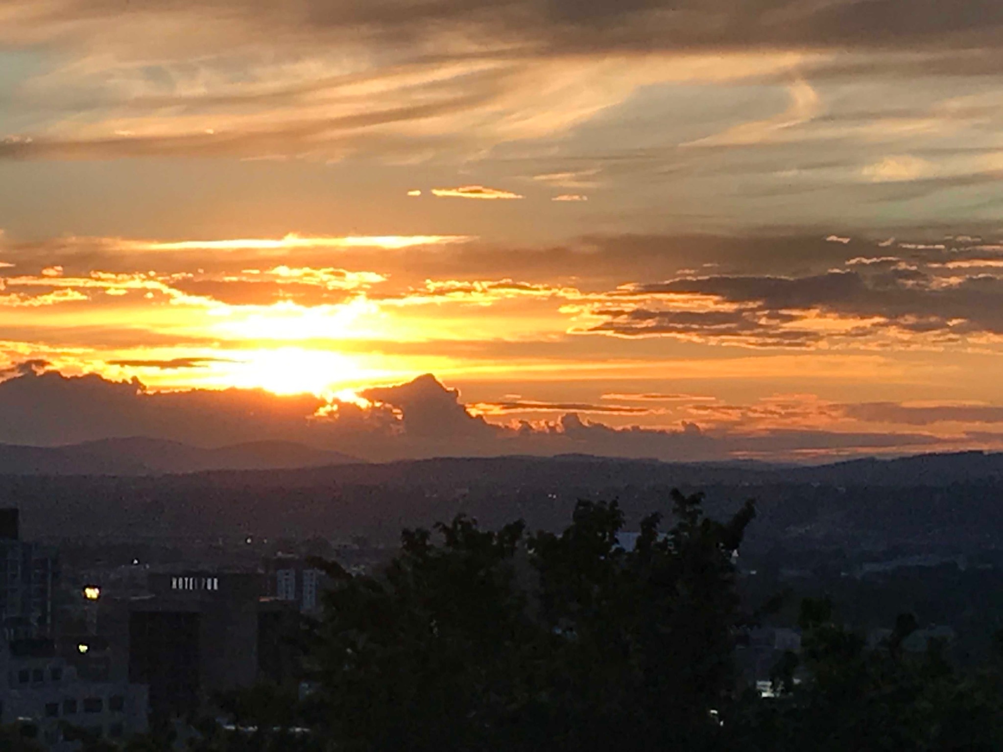 d0269832_03591631.jpeg