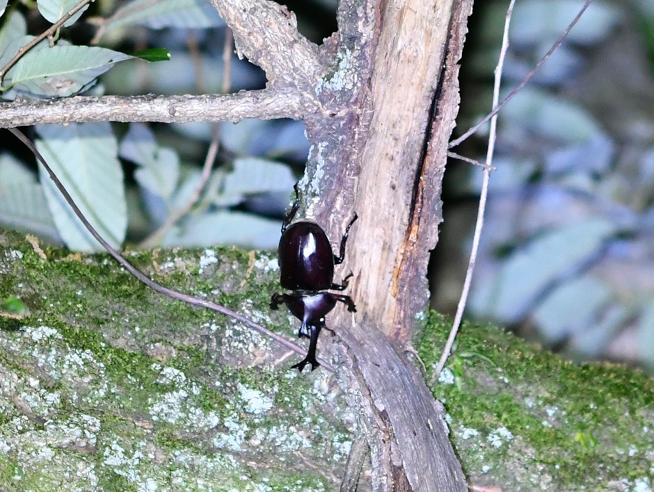 f0340732_22013045.jpg