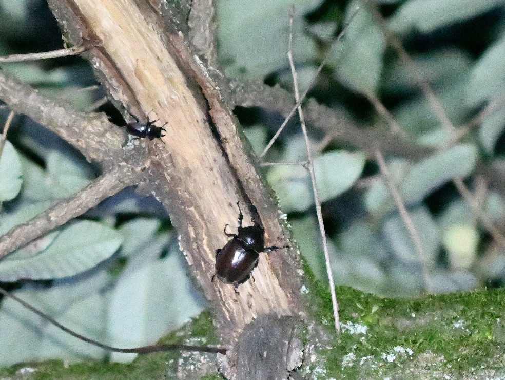 f0340732_22013111.jpg