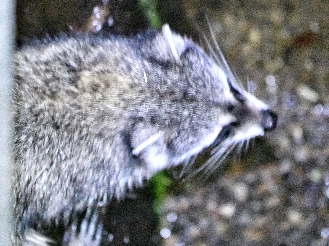 f0340732_22034564.jpg