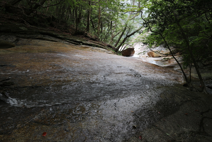 e0272335_553583.jpg