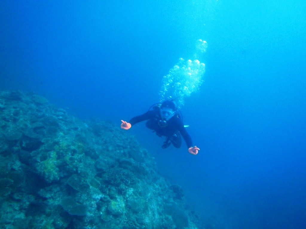 スーパーブルーからの…_a0189838_13161026.jpg