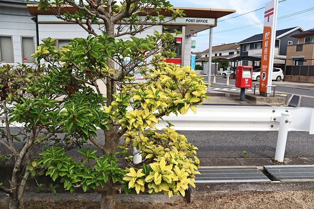 a0242438_20400010.jpg
