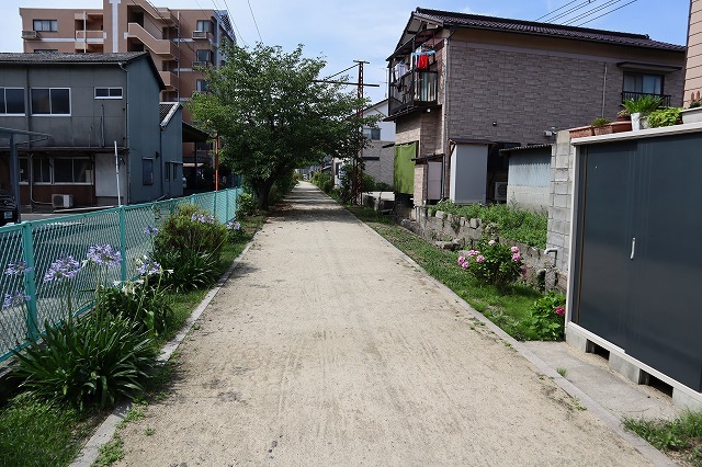 a0242438_20400156.jpg