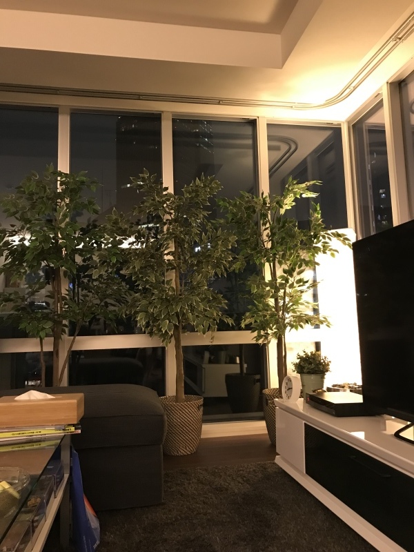 c0196240_14092354.jpeg
