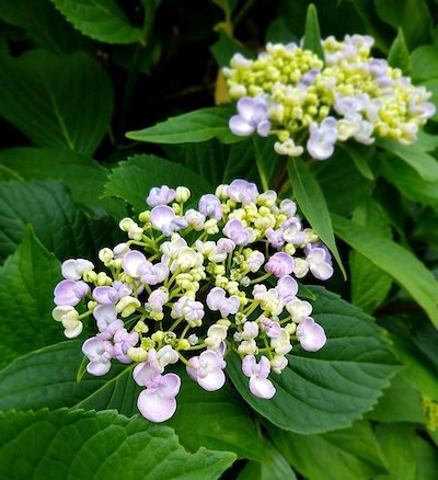 b0004242_19221952.jpg