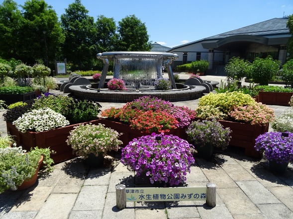 b0299042_21133135.jpg