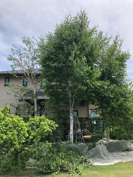 c0112447_08263971.jpg