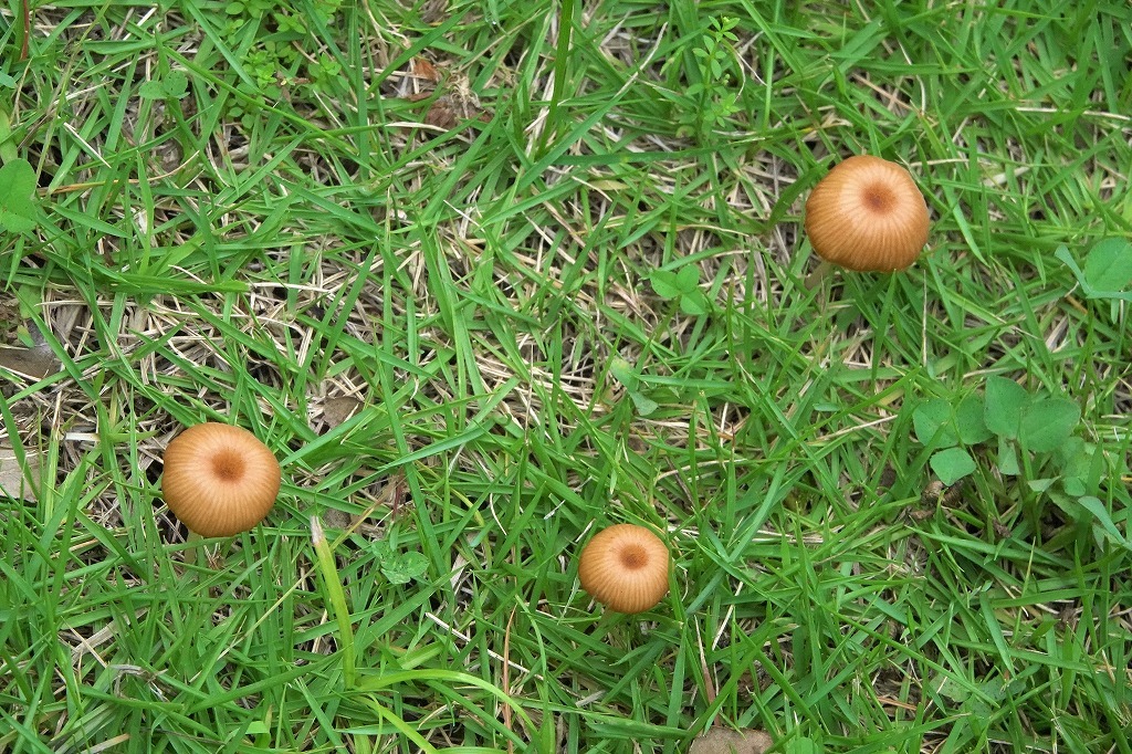 b0236251_13504491.jpg