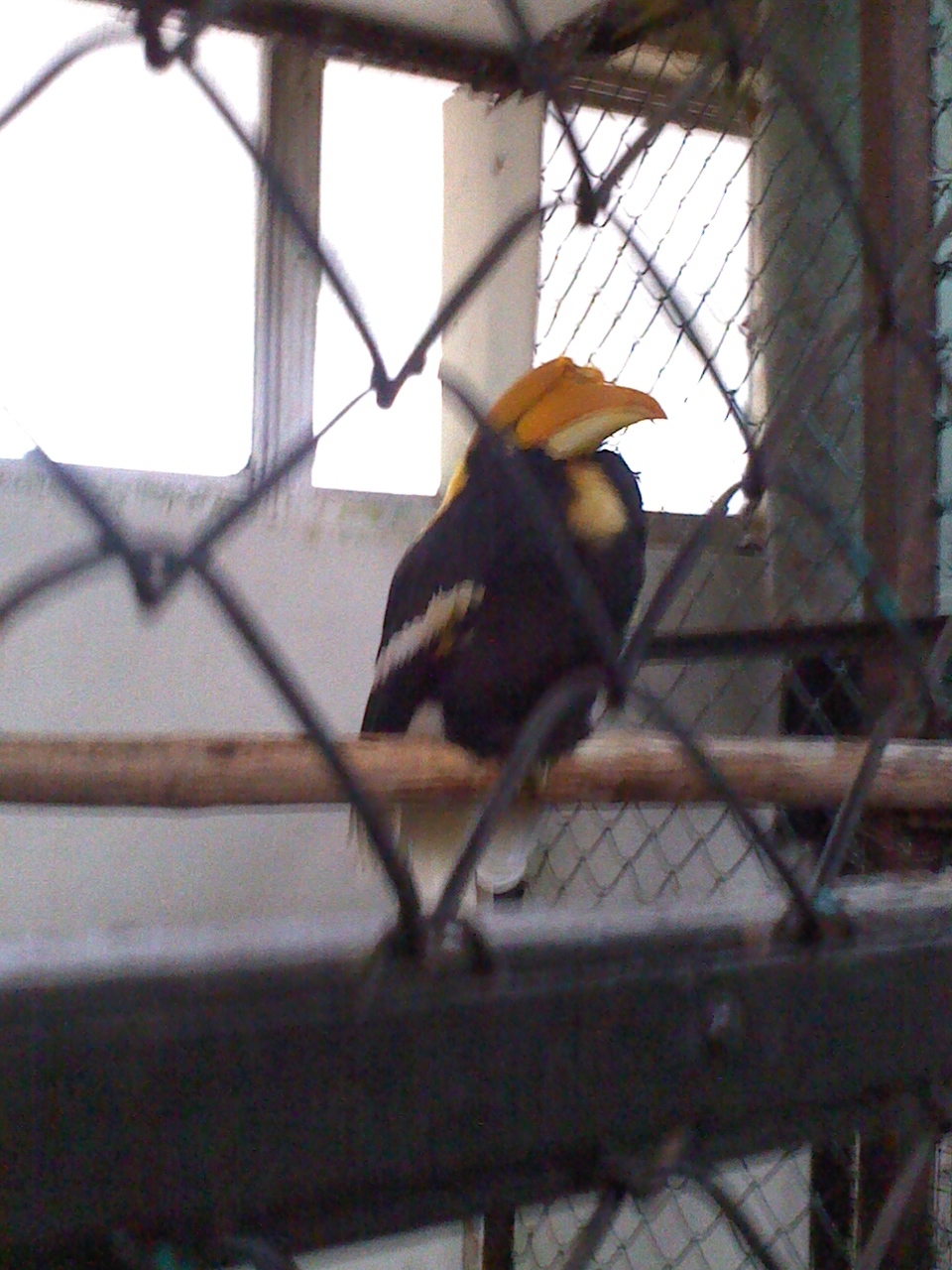 c0017651_06555724.jpg