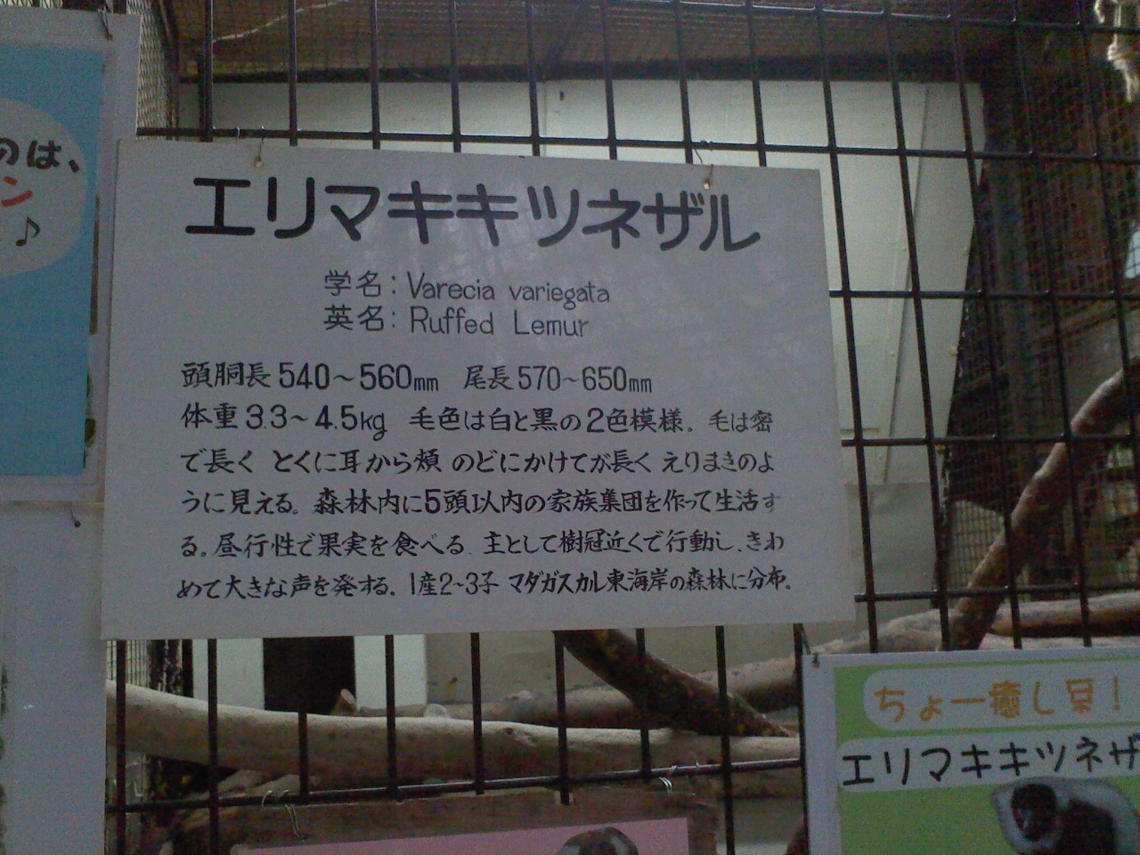 c0017651_06573152.jpg