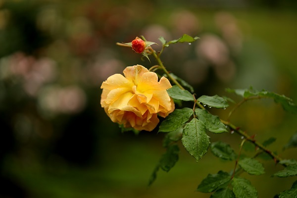 b0328557_16372634.jpg