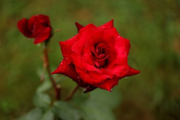 b0328557_17321827.jpg