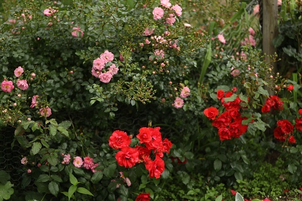 b0328557_17332170.jpg
