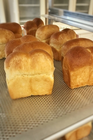 JHBS講師研究科 16 & アドバンス4 : tarmy ～お菓子&ハンドメイド～