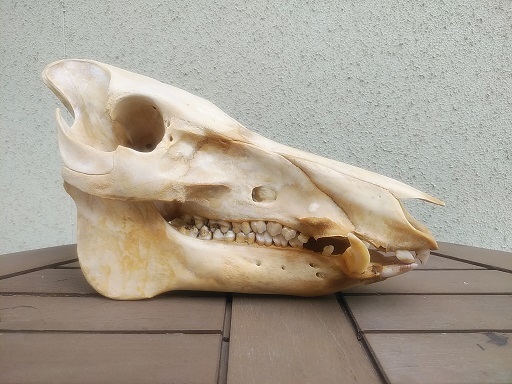 c0172261_07365411.jpg