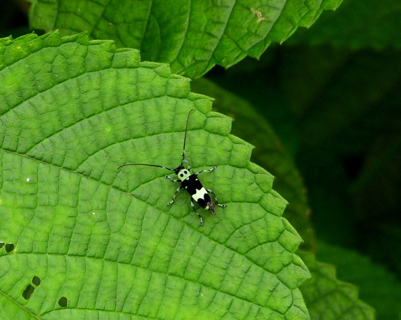 c0305565_17374887.jpg