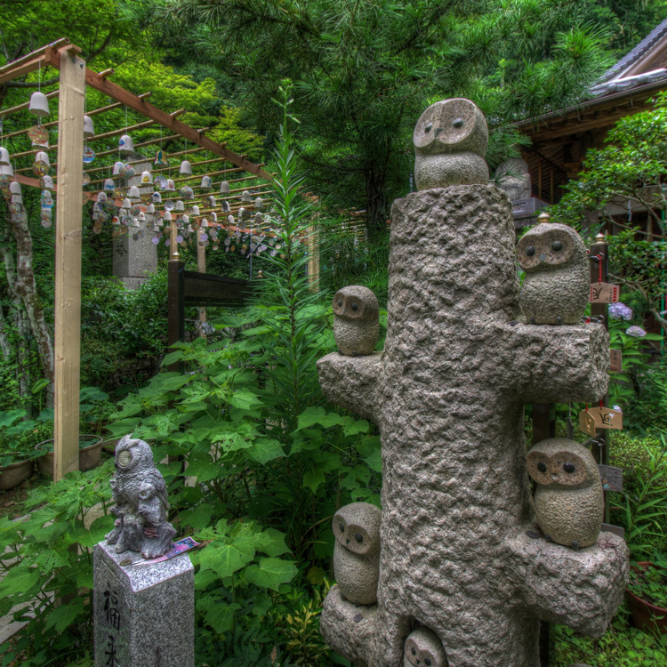 梟の寺_b0259669_09565398.jpg