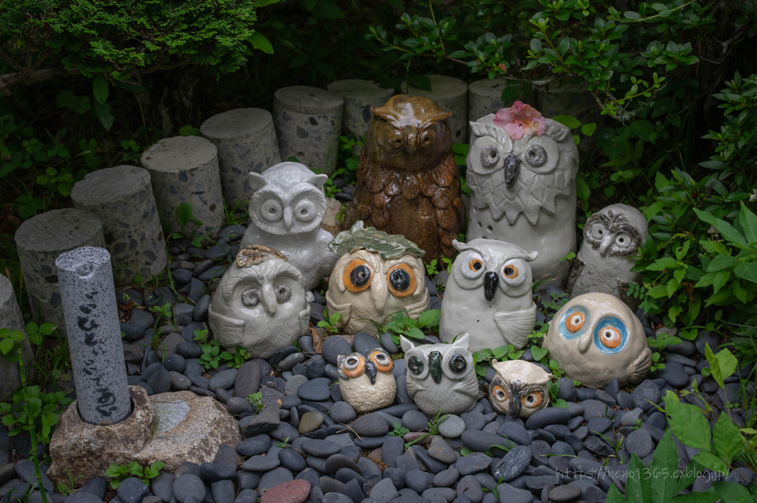 梟の寺_b0259669_09593714.jpg