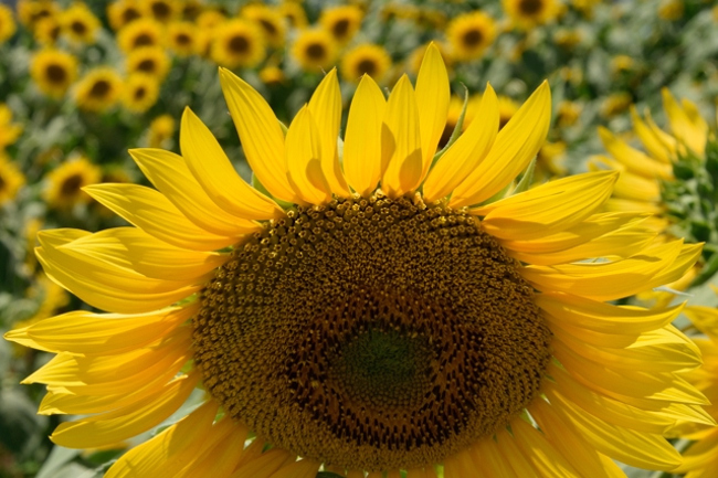 b0183370_16551012.jpg