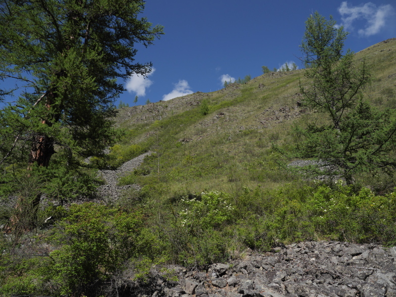 b0368380_16084575.jpg