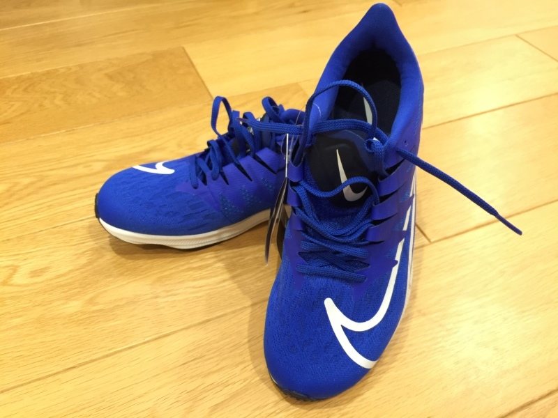 ジョグ用のシューズを購入♪_f0310282_17490813.jpeg