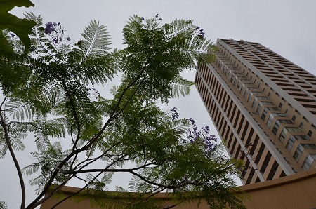 c0229483_1491047.jpg