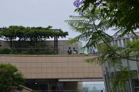 c0229483_1493245.jpg