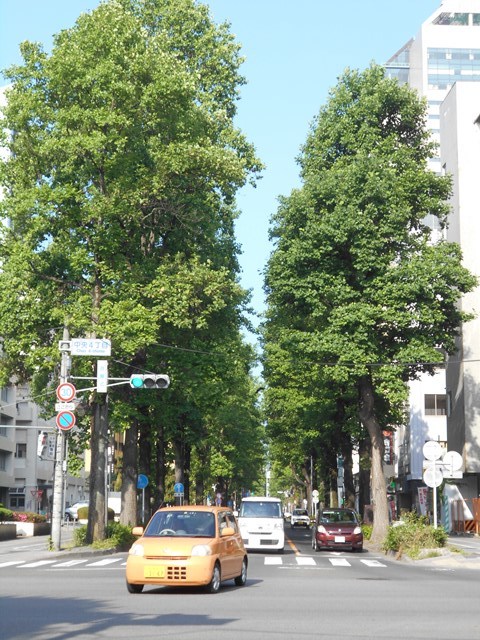 藤田八束の鉄道写真@梅雨の季節に鹿児島最南端の地開聞岳を見る、美しい海と空・・・梅雨の谷間の美しい景色、鹿児島、仙台、大阪にて_d0181492_19213518.jpg