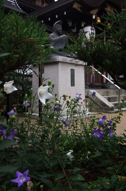 c0382798_07043716.jpg