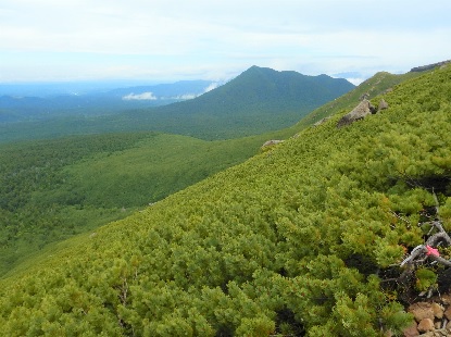 野中温泉のギネス_e0077899_1144589.jpg