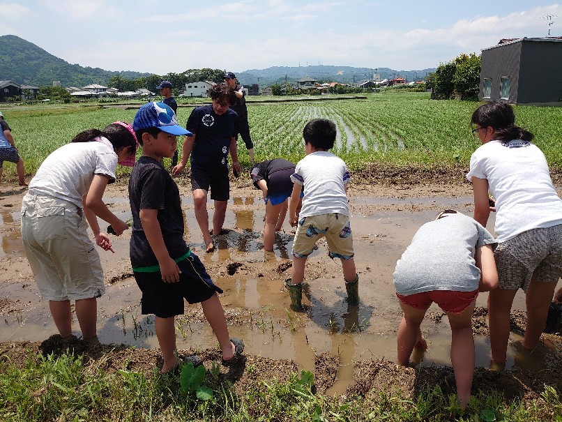 土に触れて学ぶ。_b0334704_00402252.jpg