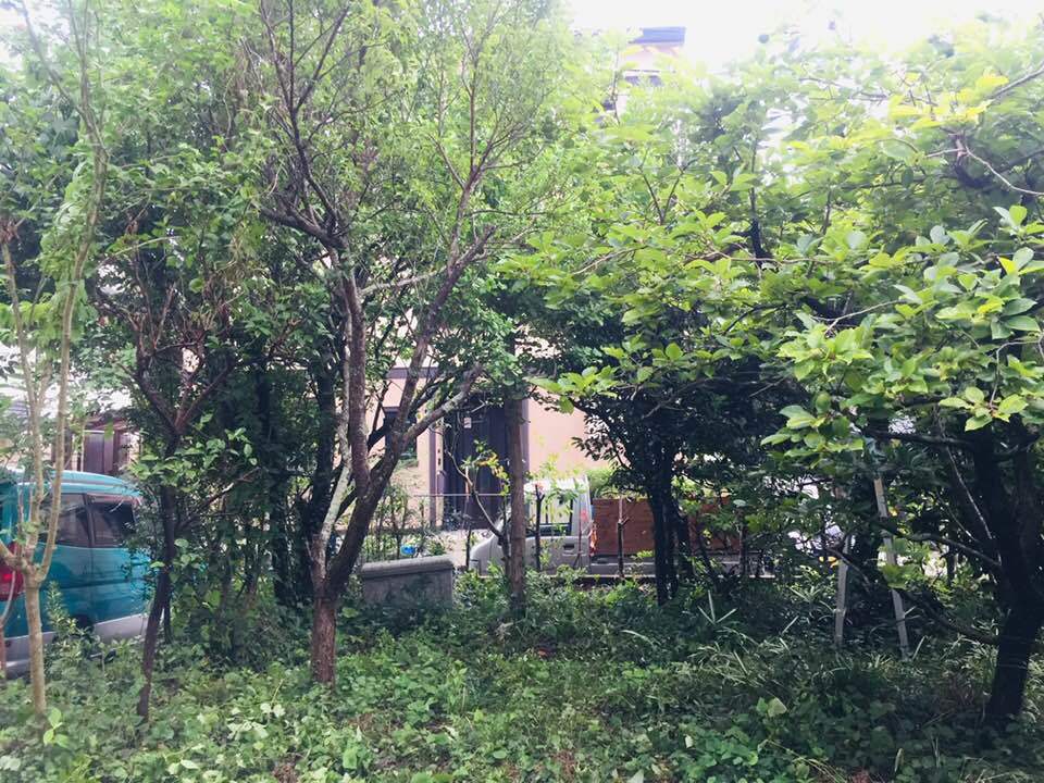 d0024504_15090910.jpg