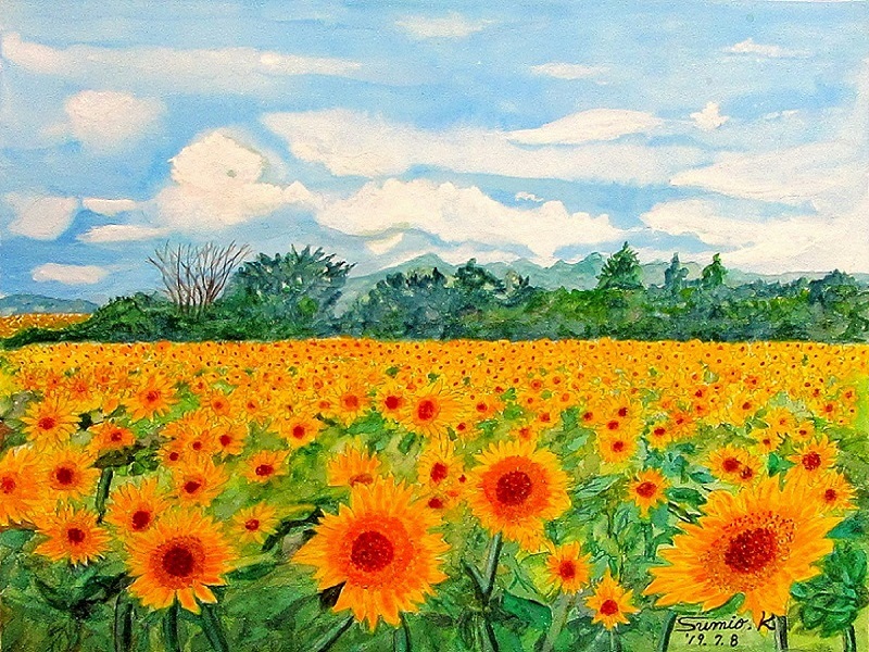≪ ひまわり畑 ≫~水彩画 : 澄爺ちゃんの趣味っぱい!(3) ≪ ひまわり畑 ≫~水彩画 : 澄爺ちゃんの趣味っぱい!(3)