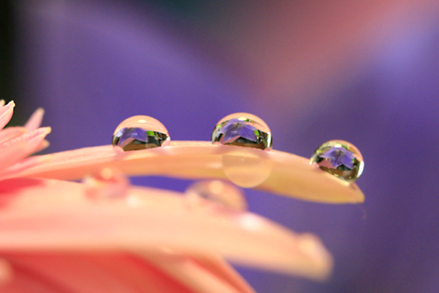 b0014607_22215552.jpg