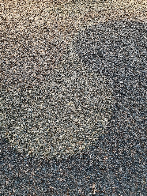 b0182708_16570016.jpg