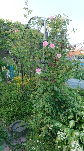 b0035611_19391284.jpg