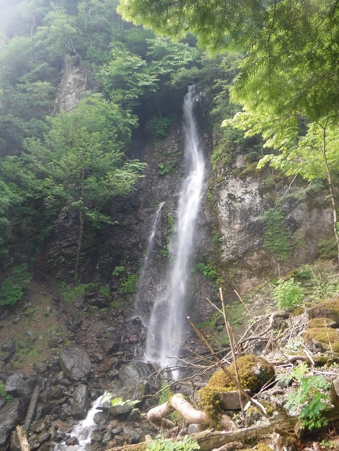 d0006512_19441192.jpg
