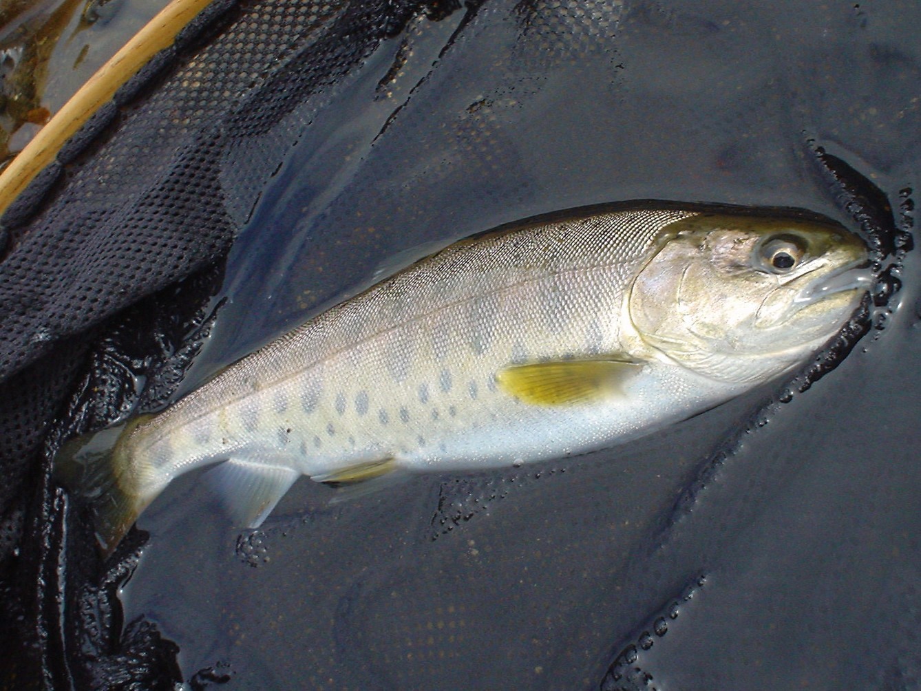 f0280717_13400078.jpg