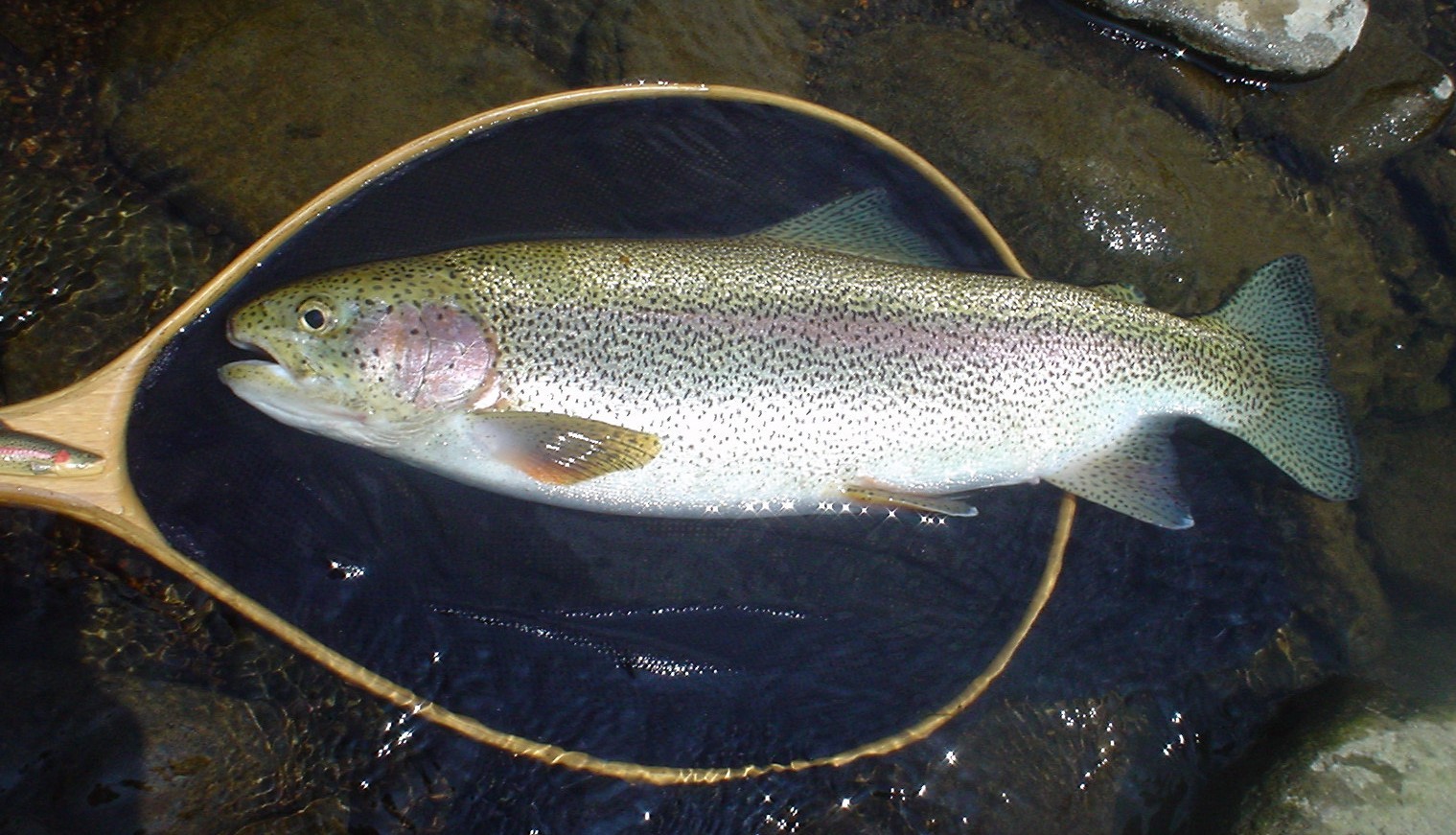 f0280717_13440648.jpg