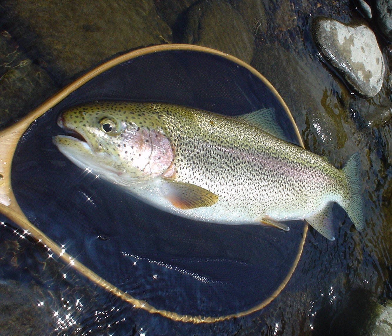 f0280717_13473312.jpg