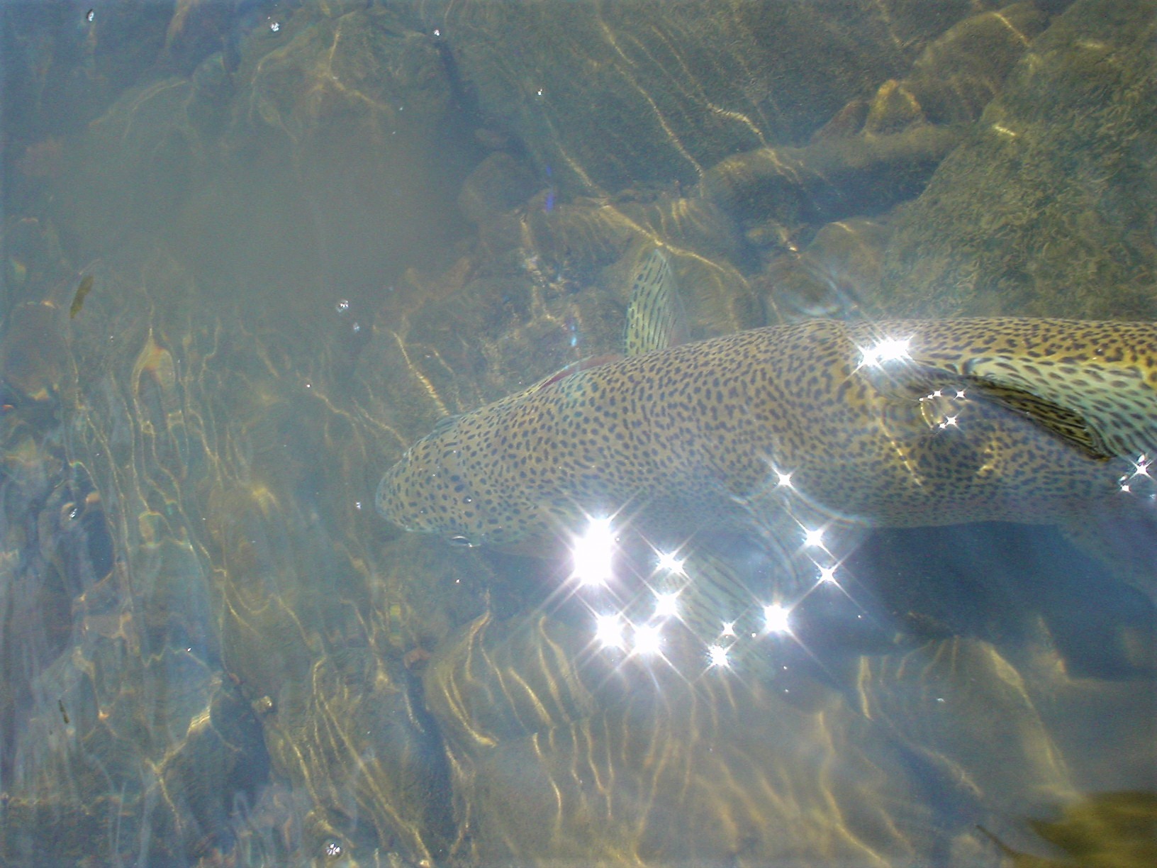 f0280717_13483134.jpg