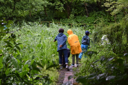 【カブ隊】7月隊集会『自然に学ぶ』_c0221521_05264965.jpg