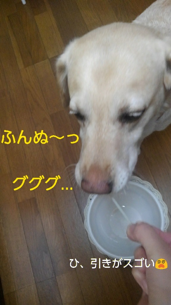 b0339522_13045737.jpg