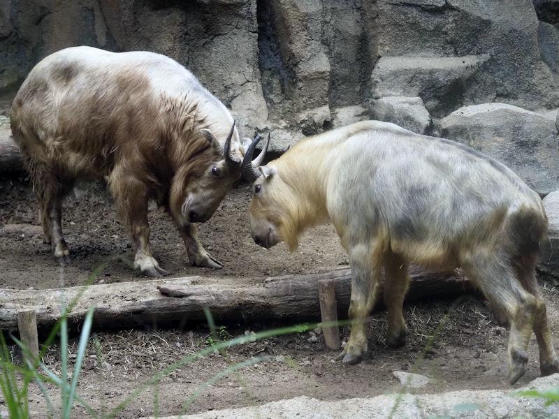 f0224624_20151275.jpg