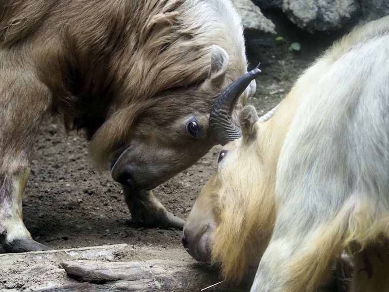 f0224624_20152687.jpg