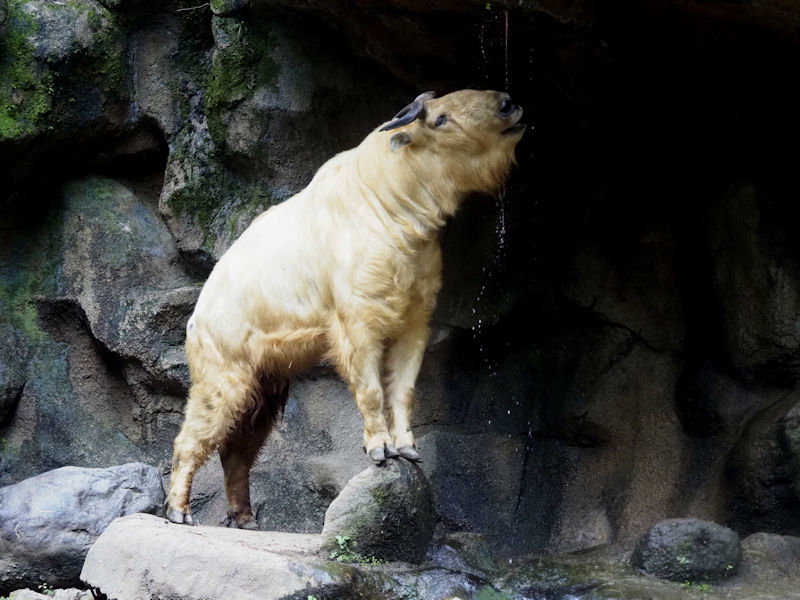 f0224624_20154201.jpg