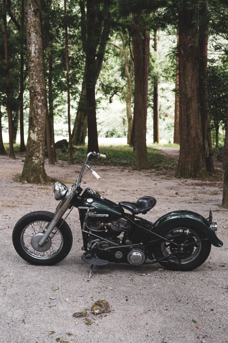 FOR SALE !! 1955 HARLEY DAVIDSON FLE_c0250233_22195588.jpg