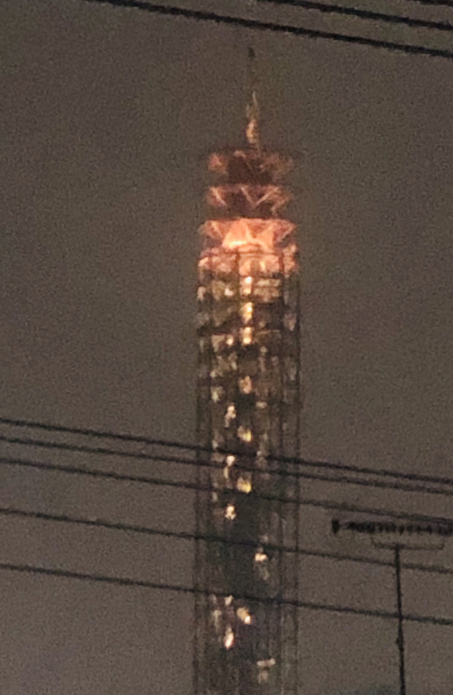 f0038336_08083202.jpeg